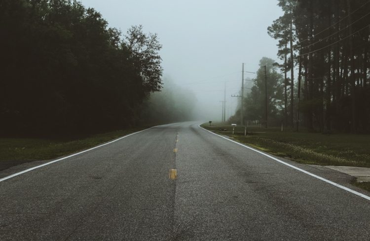 Road with fog | Marching North
