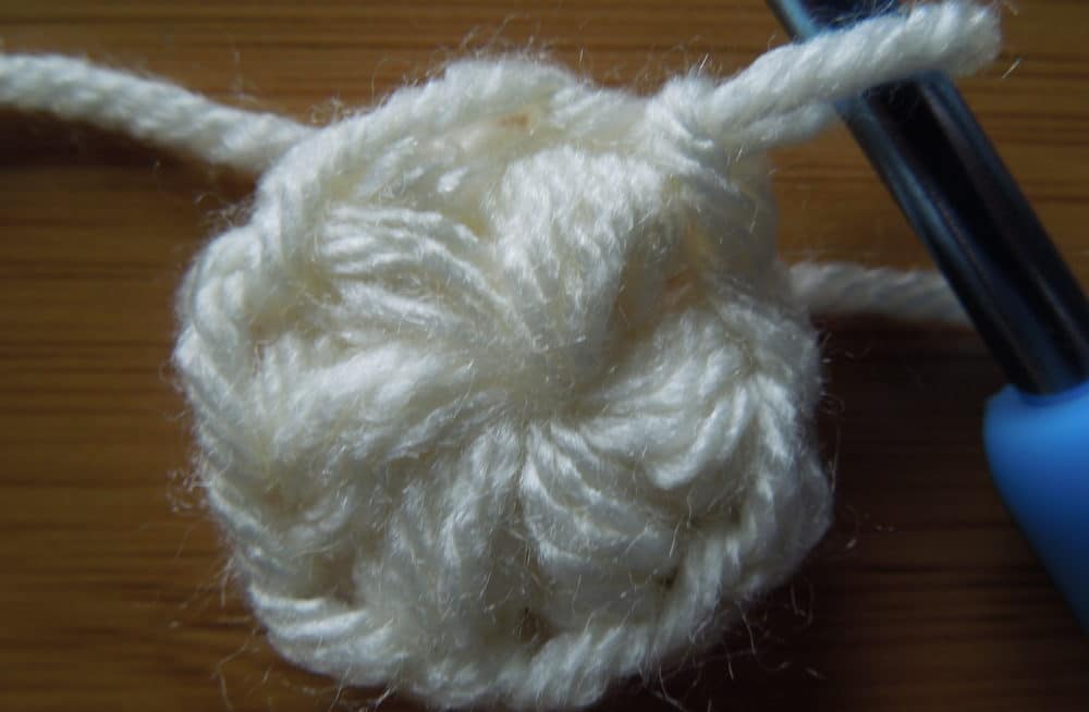 Joined to the top of 1st Puff Stitch