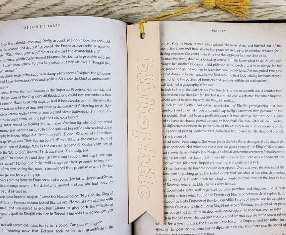 DIY Leather bookmark on book