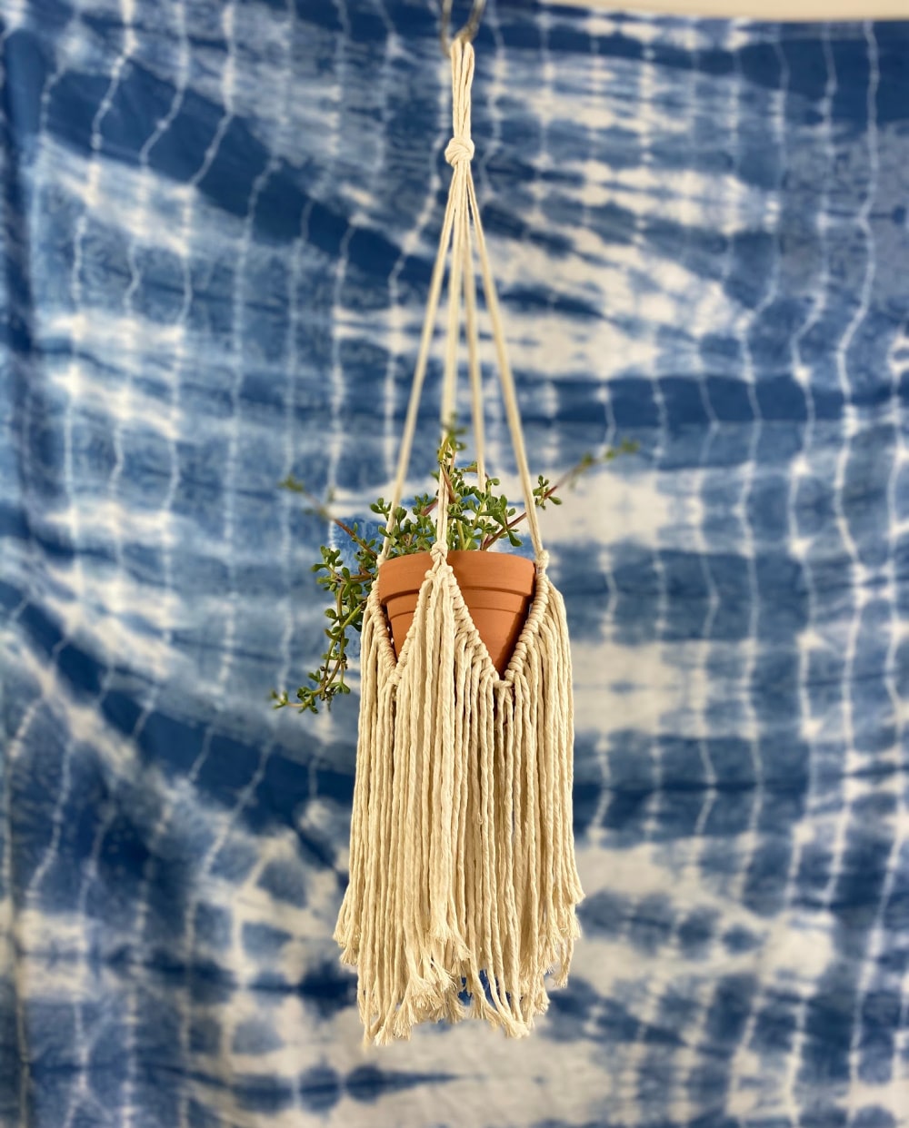 DIY macrame plant hanger with fringe