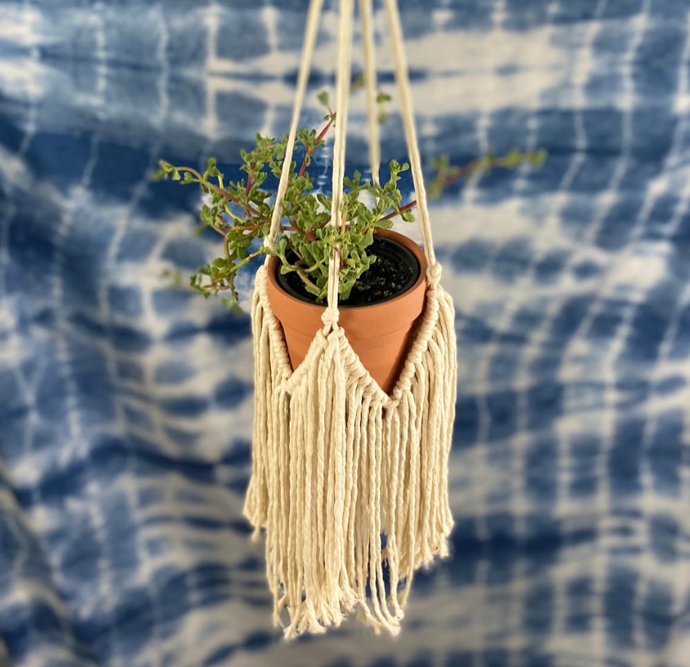 DIY macrame plant hanger tutorial