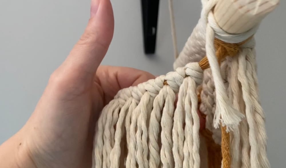 Fringe hanging on the back
