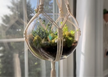 DIY Macrame Hanging Terrarium // Tutorial & Video