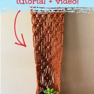 macrame plant hanger wall hanging