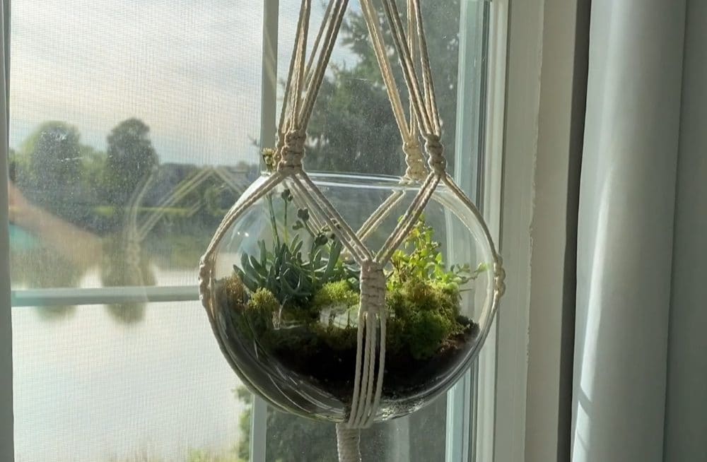 Macrame terrarium hanger tutorial