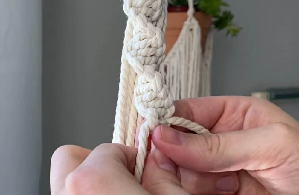 Macrame terrarium hanger tutorial