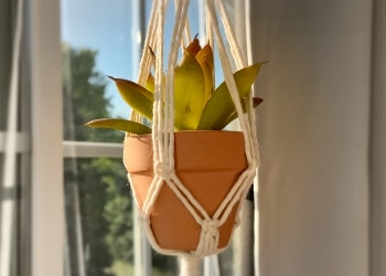 mini macrame plant hanger