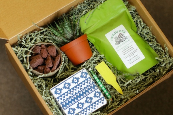 Succulents monthly | best gifts to get for crafters