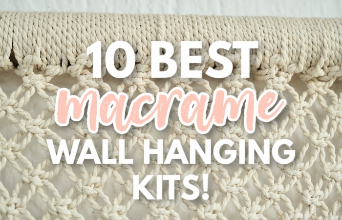 Do It Yourself Kits, Macrame Owl Kit Beginner, Macrame Wall Hanging Craft  Kit for Adults and Kids 