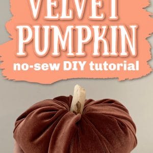 velvet fabric pumpkin