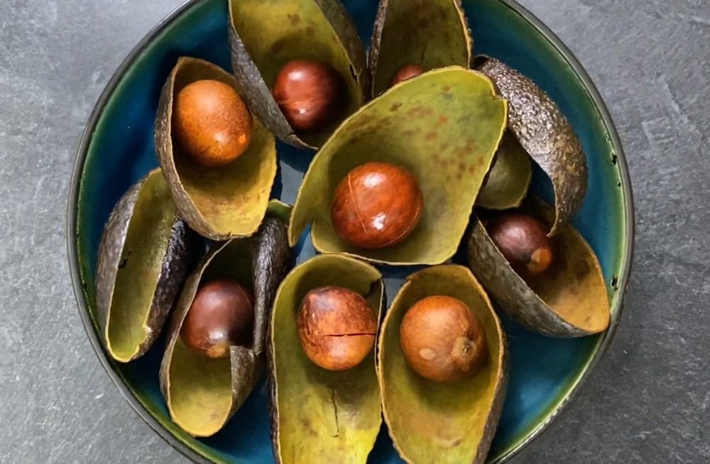 first clean the avocado pits and peels