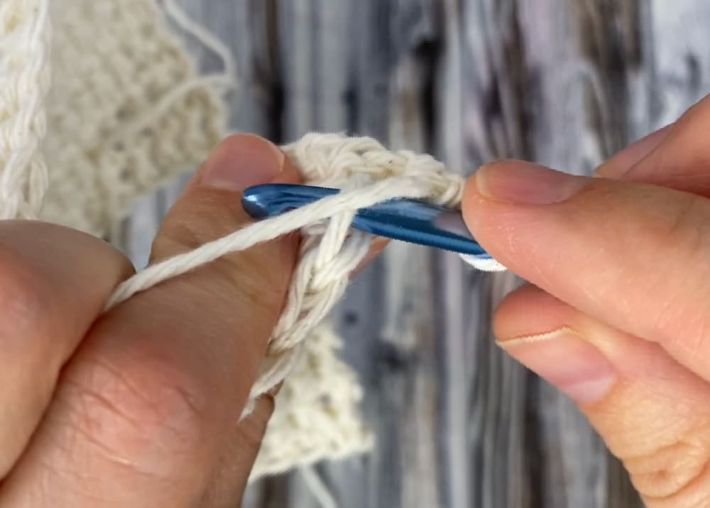 crochet the next row of single crochet in the back loop only