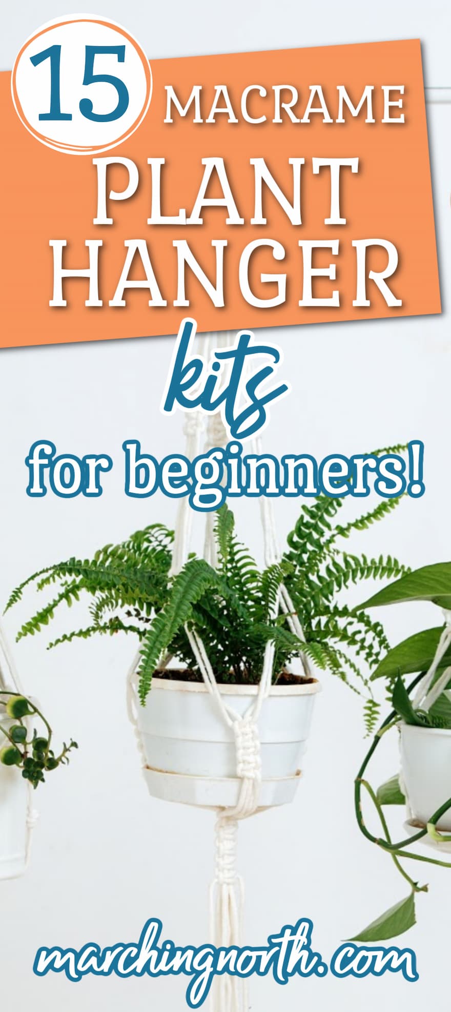 Pinterest pin for 15 macrame plant hanger kits post