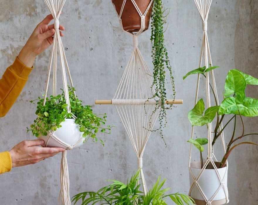 D.I.Y Macrame Plant Hanger Kit - make your own plant hanger