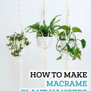 three macrame plant hangers with assorted plants hanging on a clothing rack