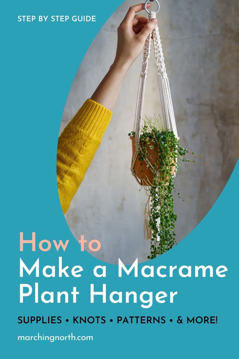 How to Make a Macrame Plant Hanger (easy DIY tutorial & ideas!)