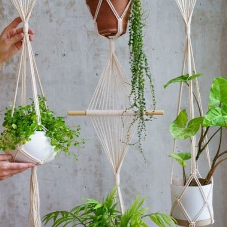 macrame plant hangers hanging from a piece of wood
