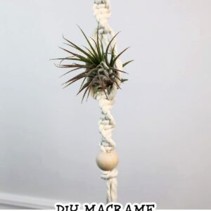 close up of macrame air plant hanger