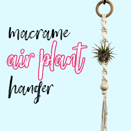 DIY Macrame Air Plant Holder {Easy!} Tutorial & Video