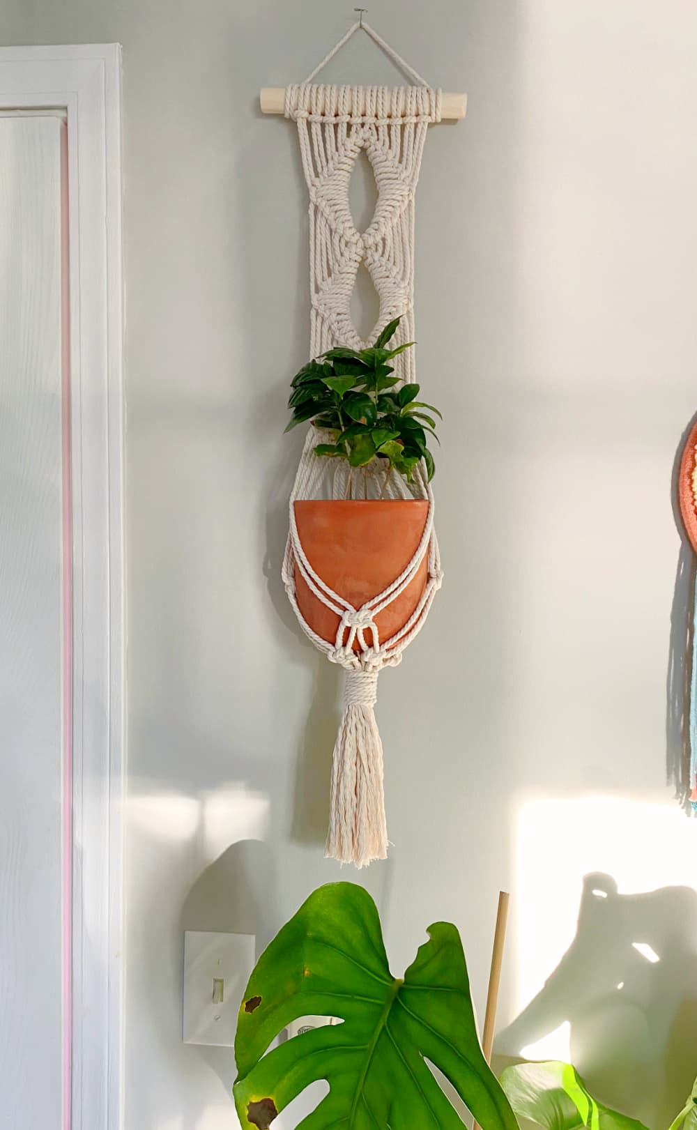 diamond macrame plant hanger wall hanging hung up on a light gray wall next to a white door
