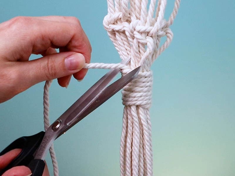 Diamond Macrame (Wall Hanging) Plant Hanger | Tutorial & Video!