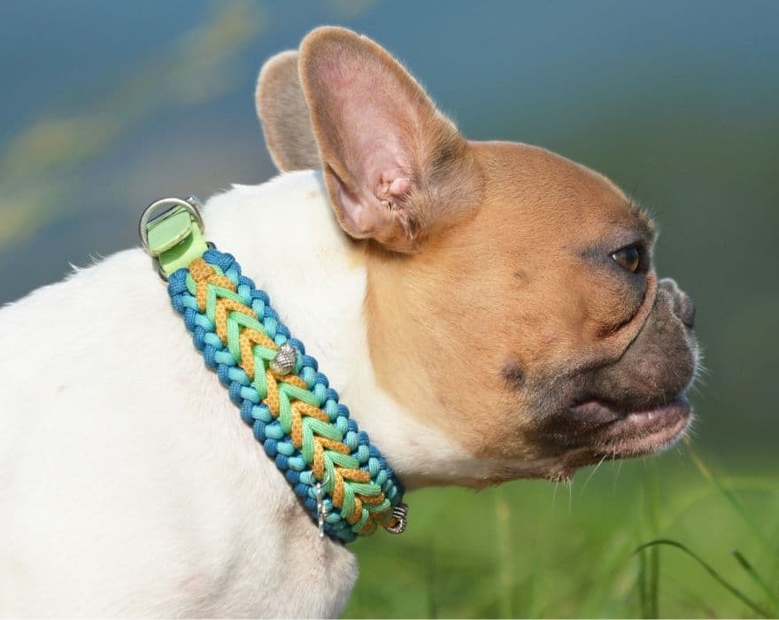 13 Macrame Gift Ideas for the Holidays (or All Year Round!) Marching