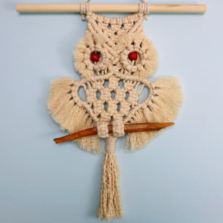 Free Macrame Owl Pattern (Easy DIY Tutorial & Video!)