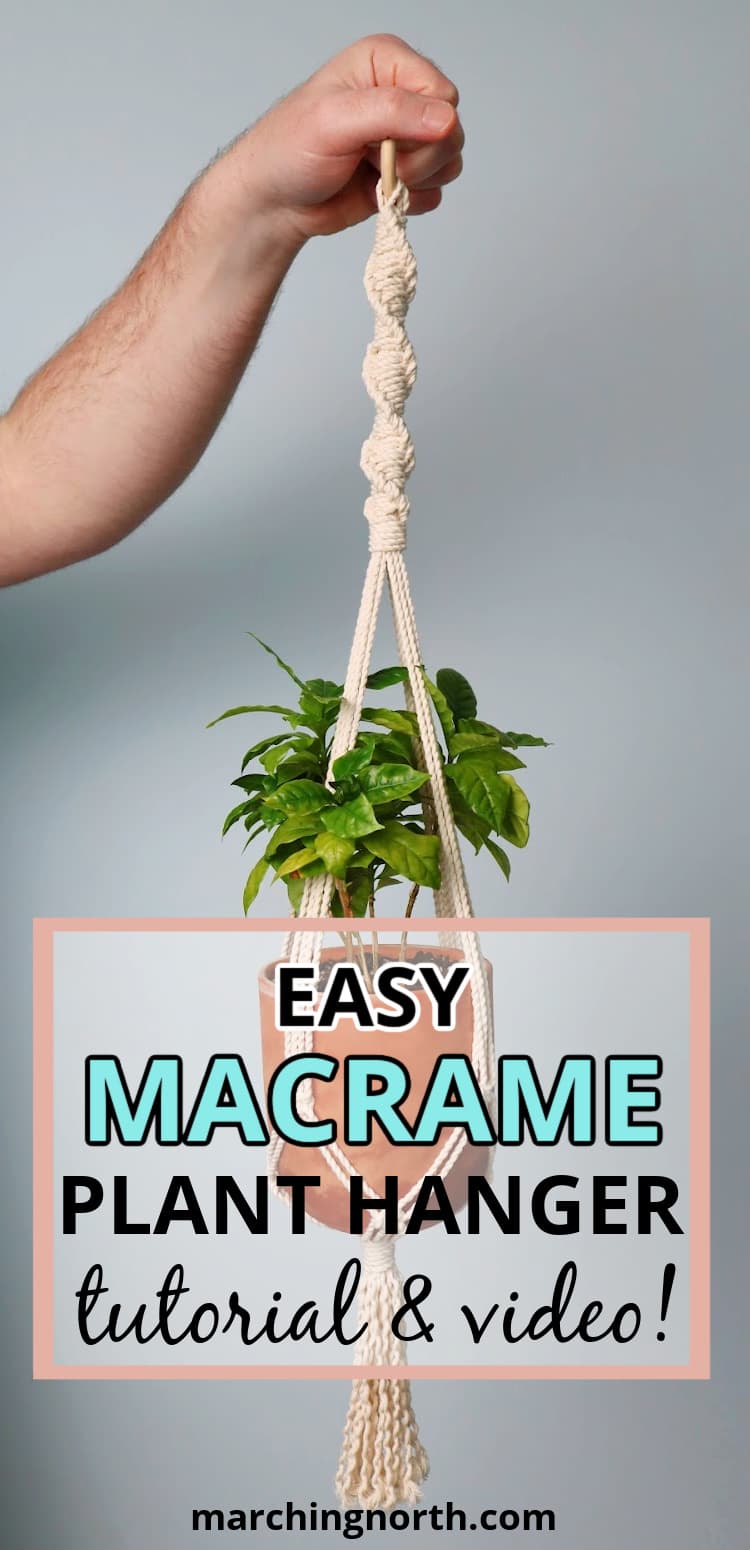 Pinterest image for macrame plant hanger post