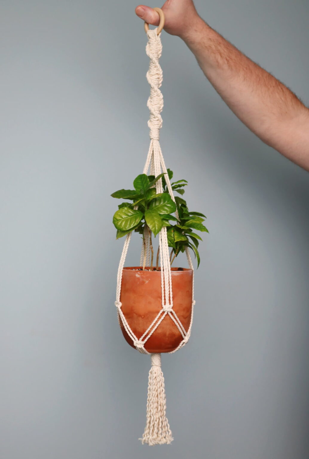 How to Make a Spiral Macrame Plant Hanger (DIY Tutorial & Video