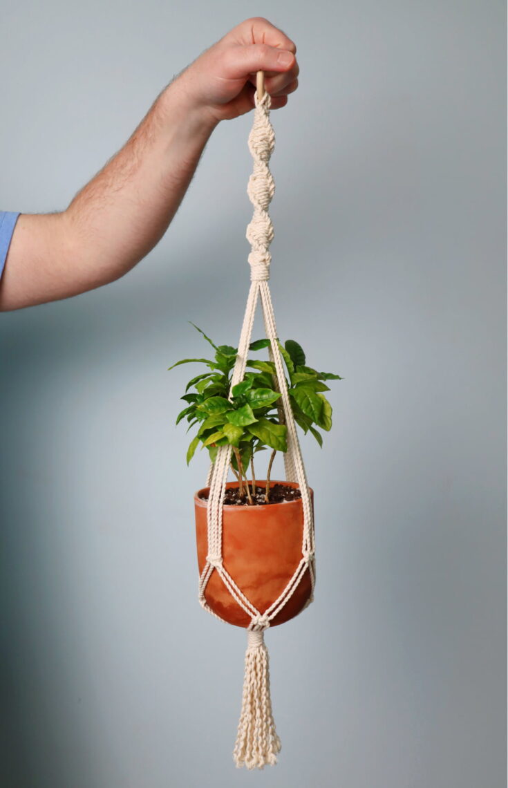 Image for How to Make a Spiral Macrame Plant Hanger (DIY Tutorial & Video!)