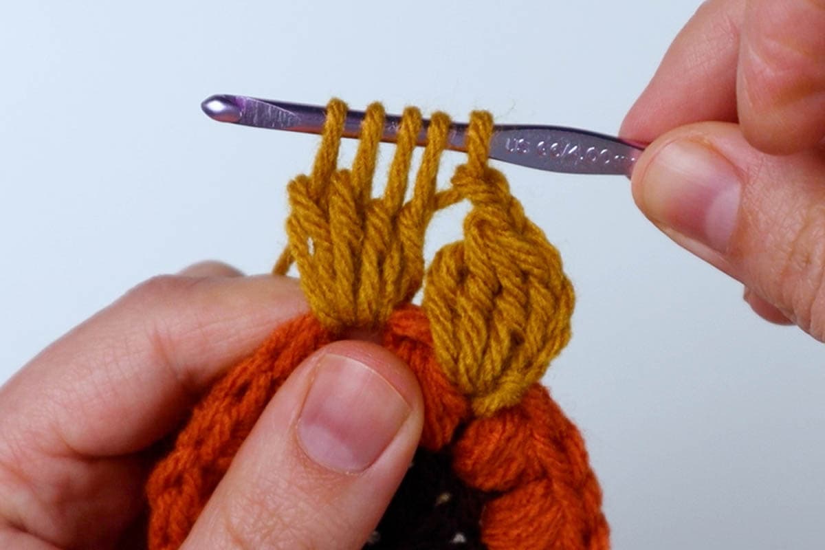 5 loops on hook for regular cluster stitch