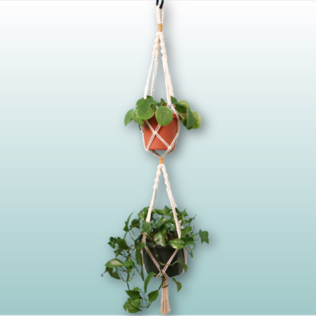 How to Make a Double Macrame Plant Hanger (Tutorial & Video!)