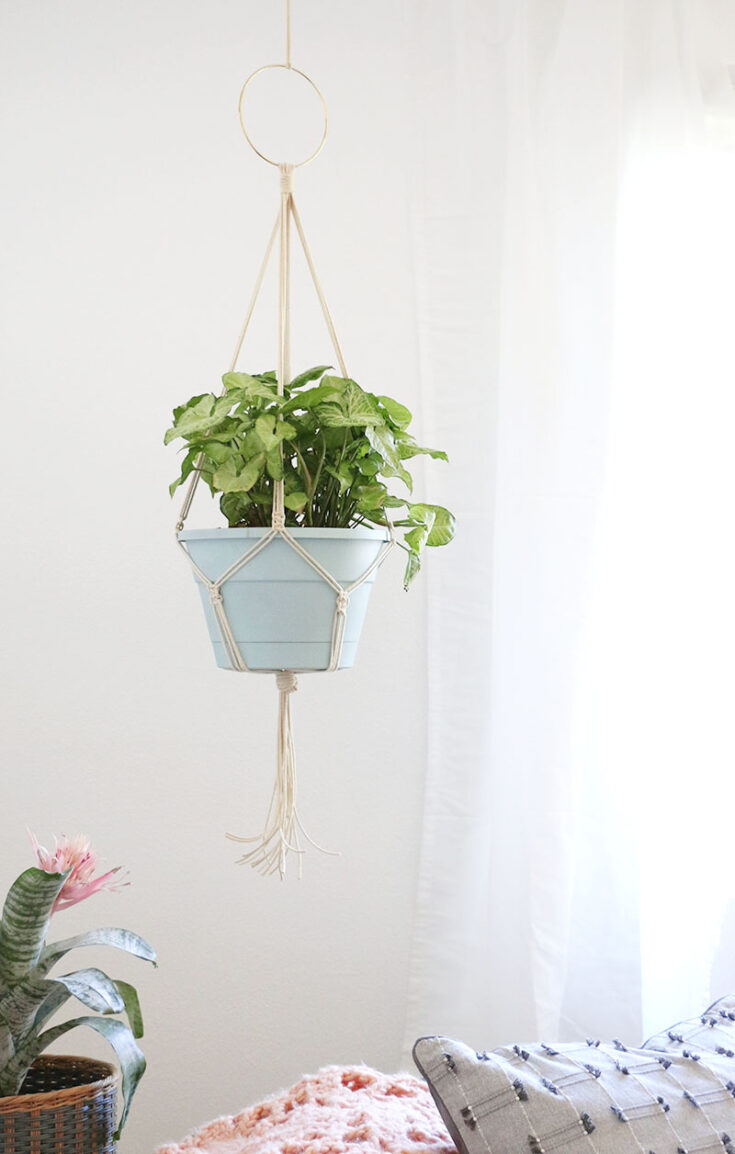 Image for Simple DIY Macrame Plant Hanger