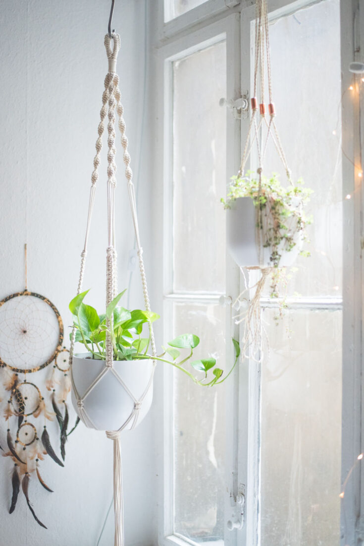 Image for Easy Home-DIY: Macrame Plant Hanger Tutorial - heylilahey.