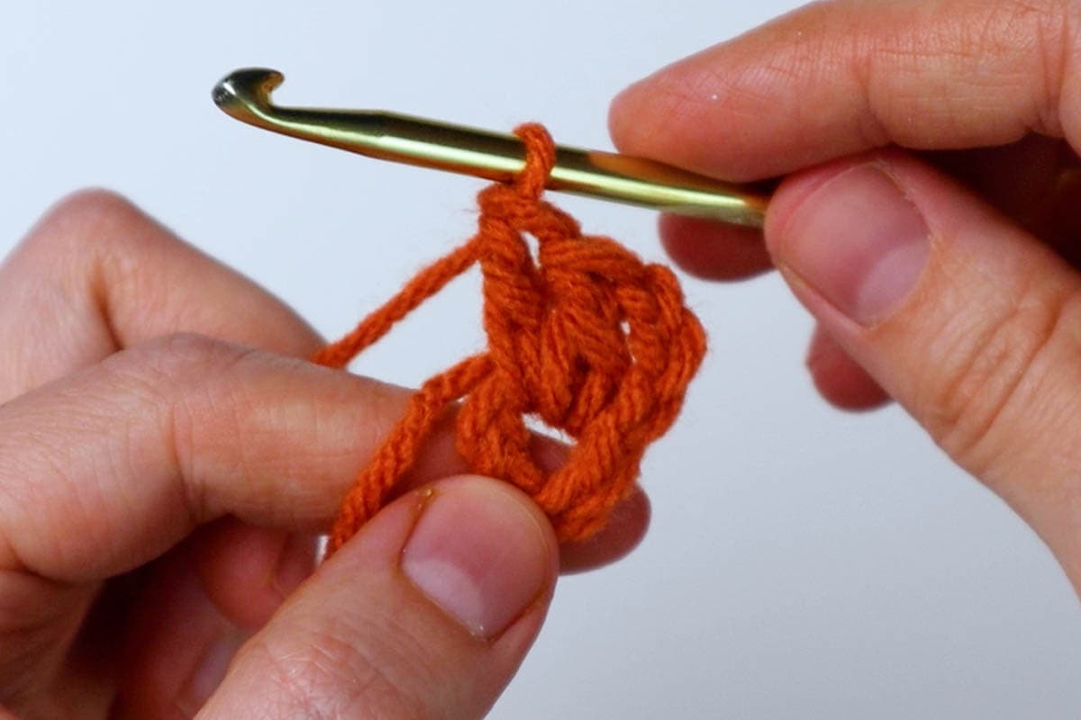 make 2 double crochet into the chain circle
