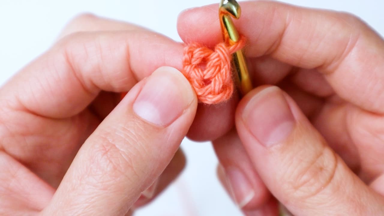 slip stitch into first chain to form a loop