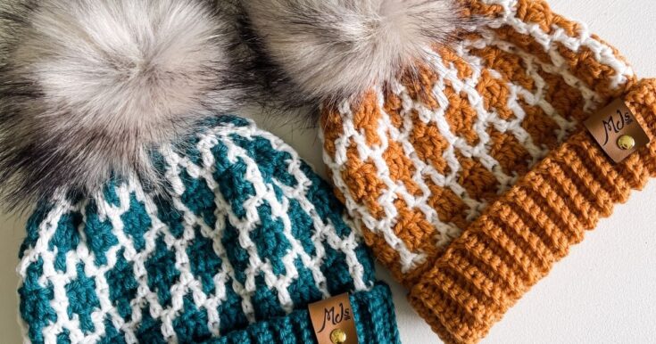 1 HOUR Bulky Crochet Beanie Hat (Free Pattern!)