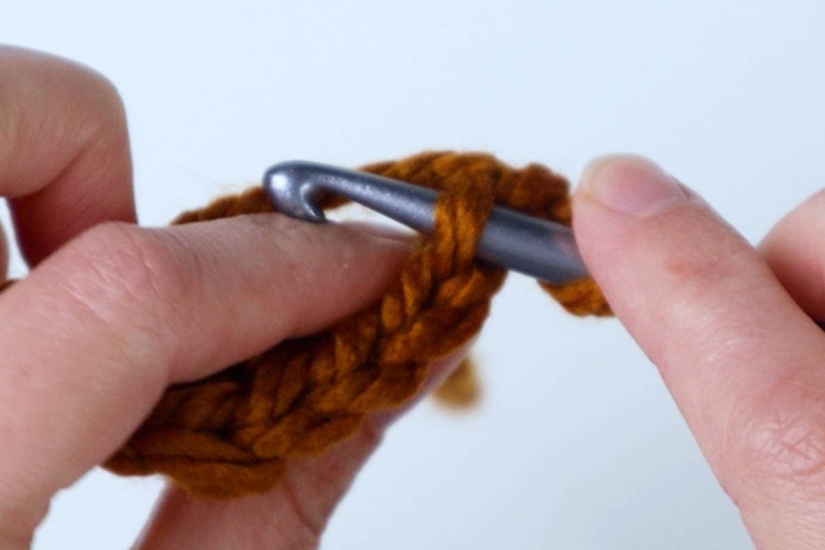 single crochet in the back loop only of each stitch