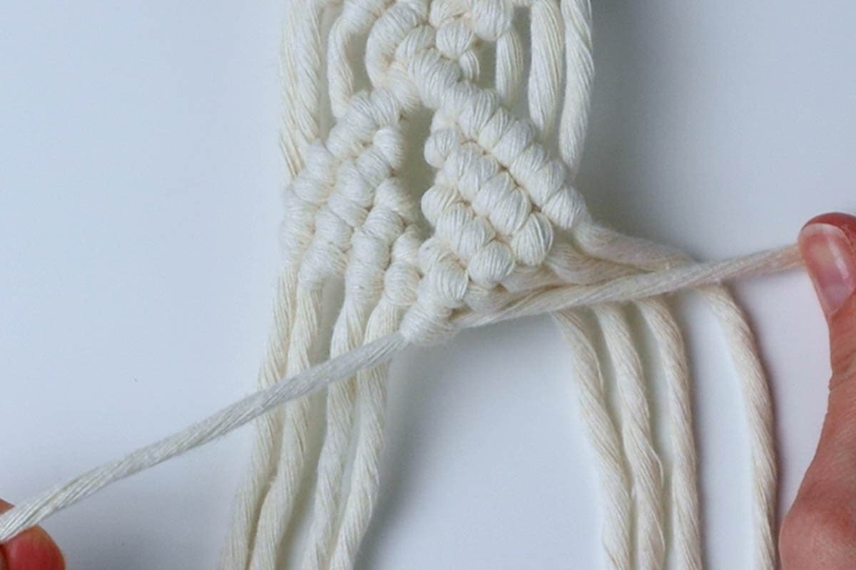tying the last double half hitch knot