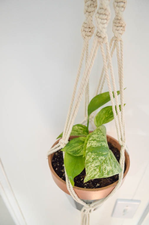 Image for Simple DIY Macrame Plant Hanger Tutorial
