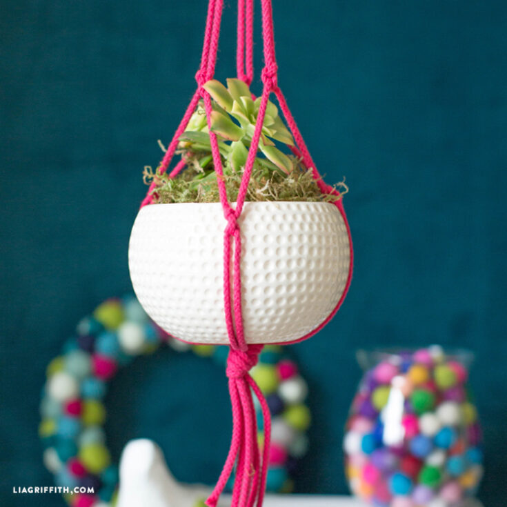 Image for Easy DIY Macrame Plant Hanger