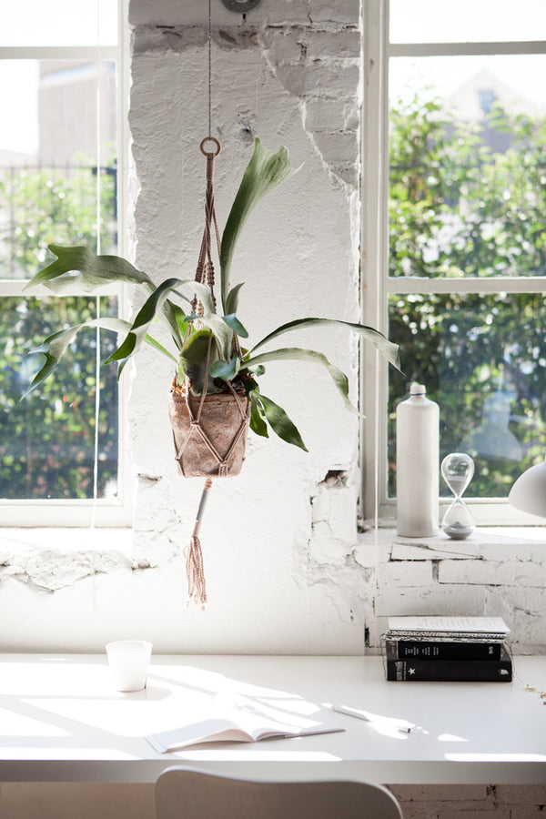 Image for Hanging Planter By Hila Eshel