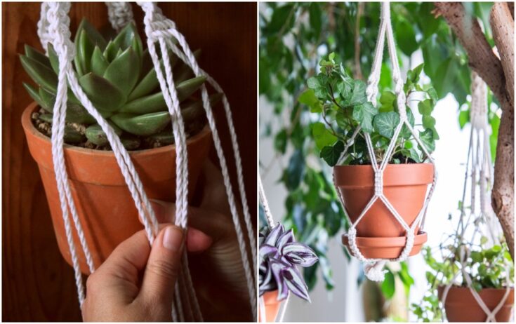 Image for DIY Macrame Plant Hanger Tutorial With Photos