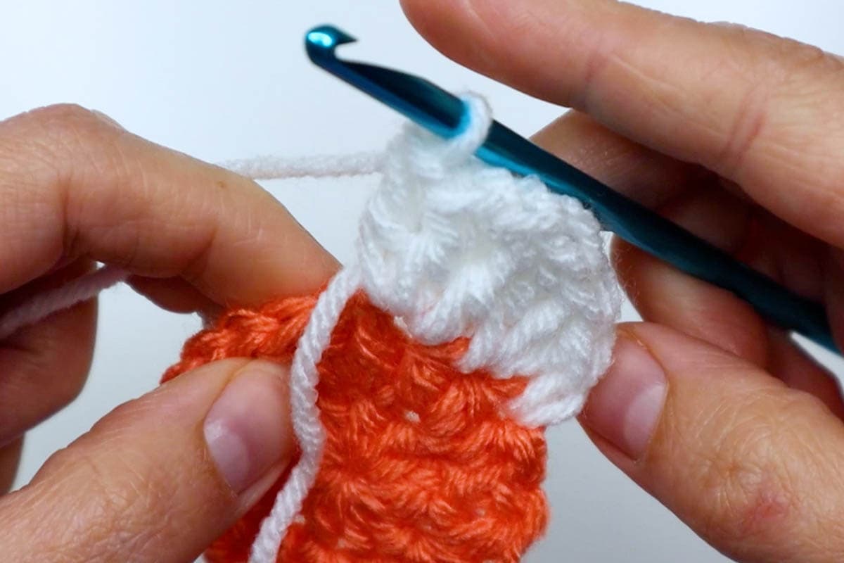 1 treble crochet and 2 double crochets worked in the next stitch