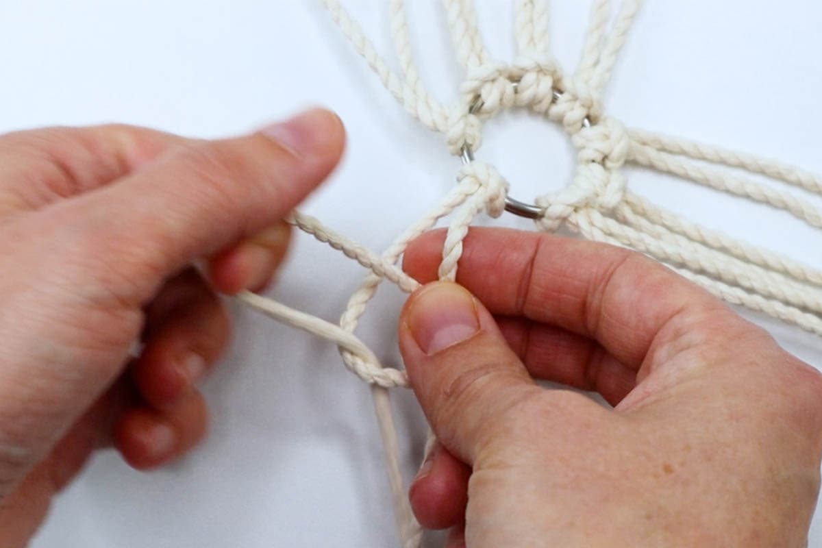 tying a half hitch knot