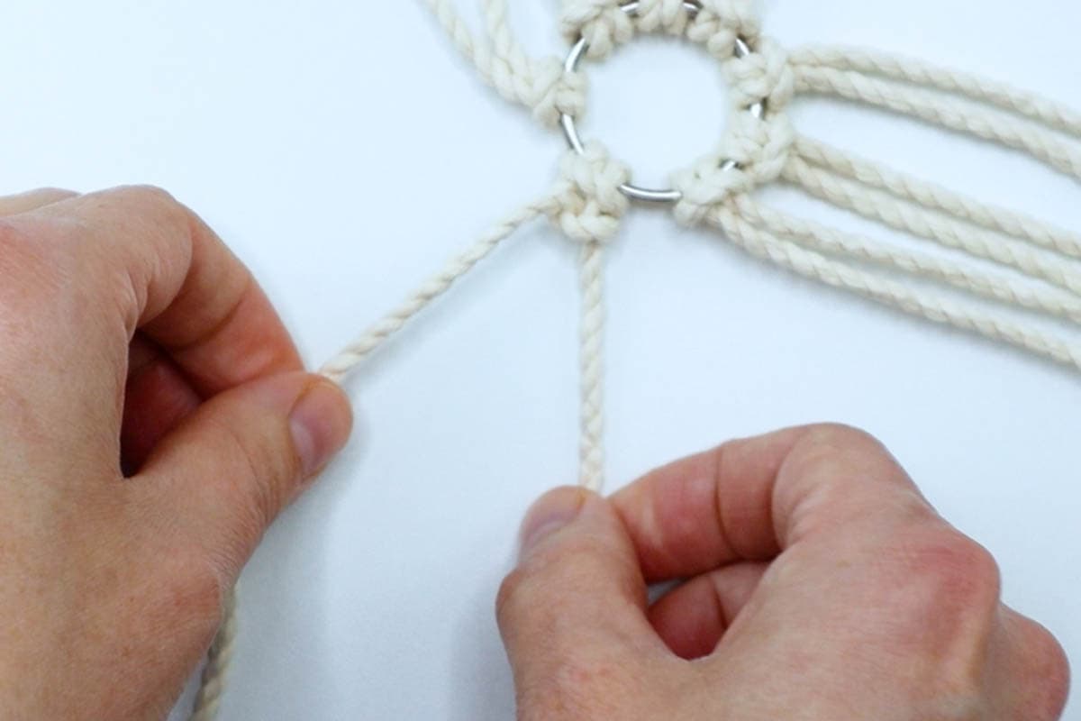 tying a half hitch knot