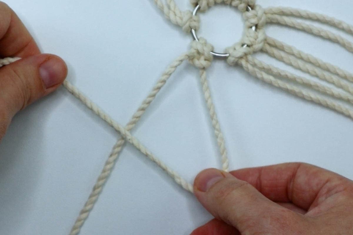 tying a half hitch knot