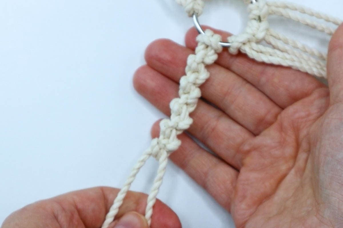 10 alternating half hitch knots with one pair of cords