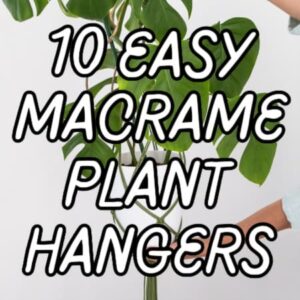 featured image for 10 easy macrame plant hangers post
