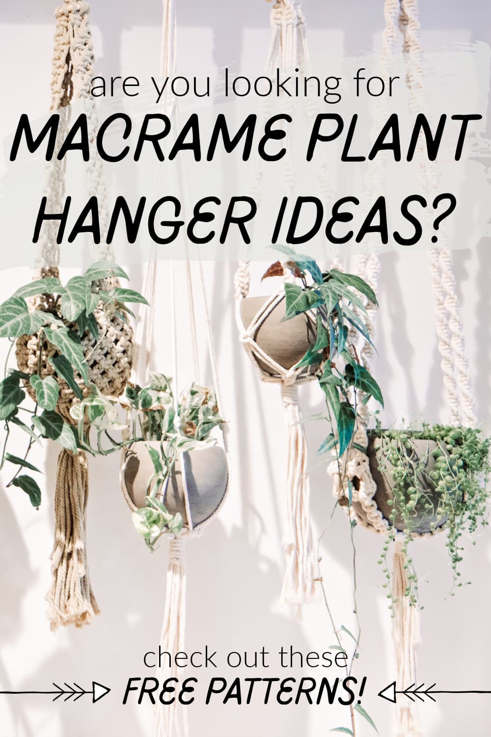 Macrame Plant Hanger Ideas pinterest pin